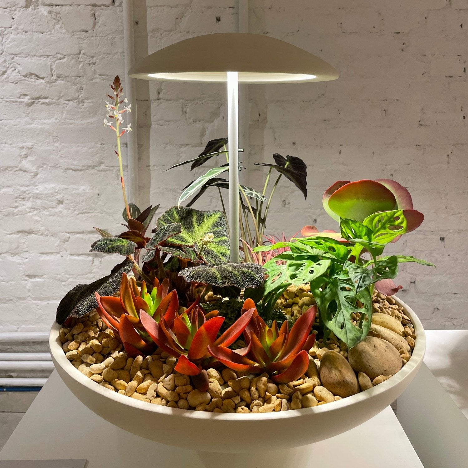 Lampe de table DEL | Garden II