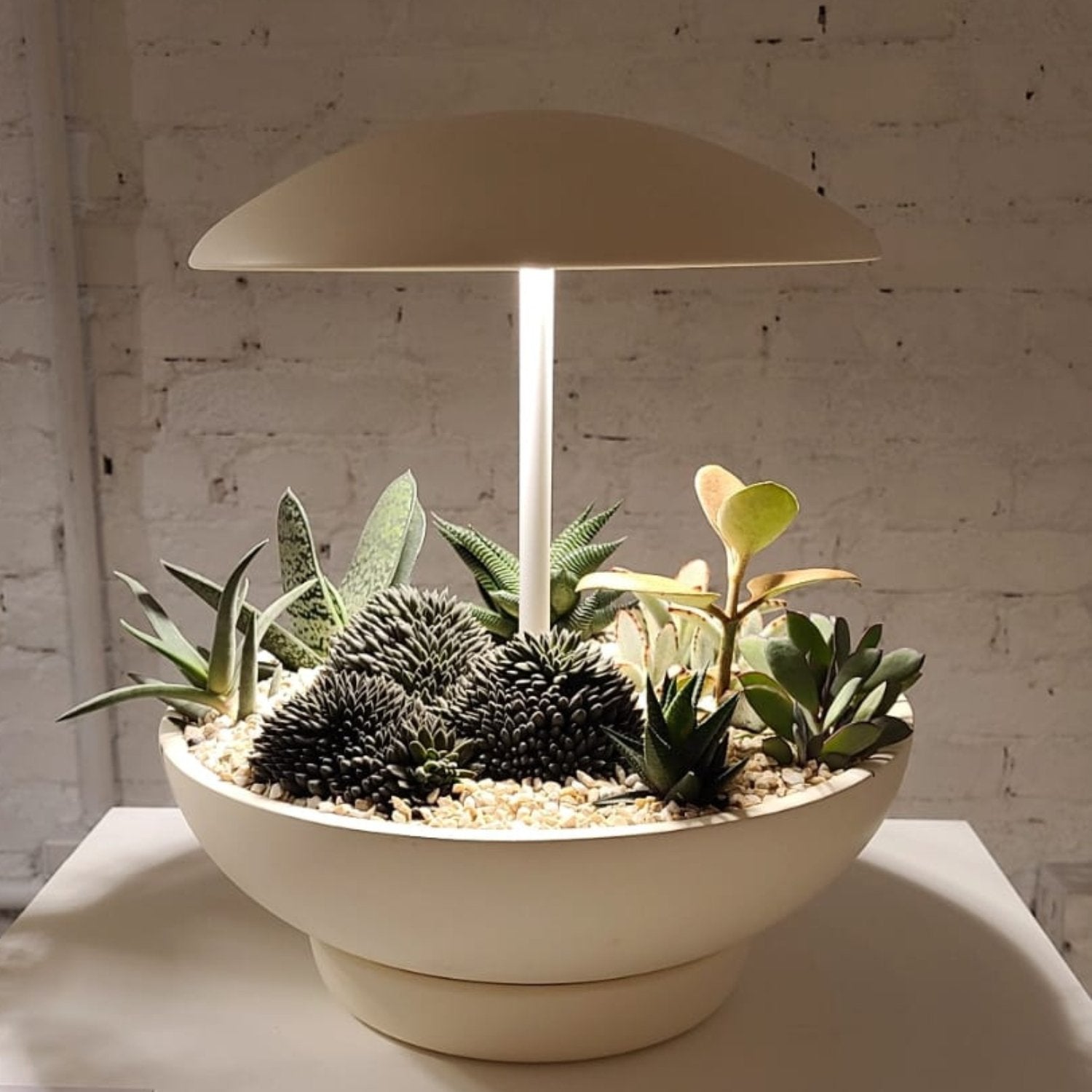 Lampe de table DEL | Garden I
