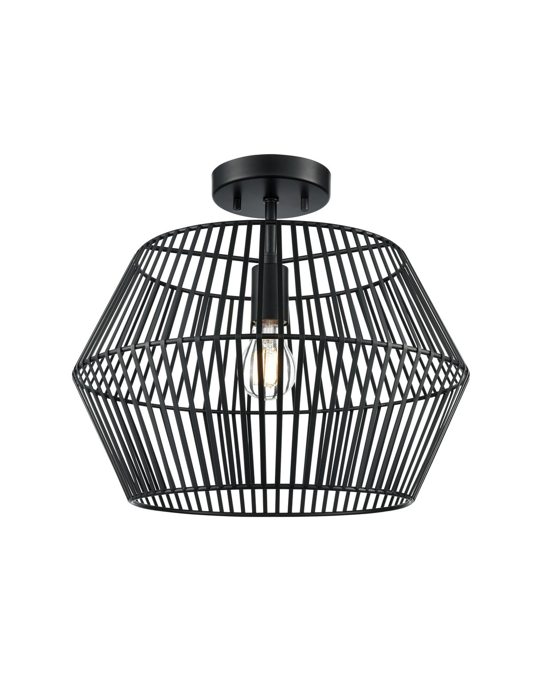 Plafonnier 1 lumière | Ladysmith