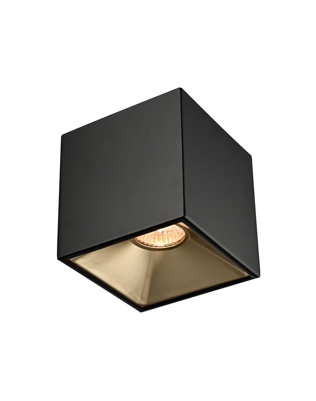 Plafonnier 1 lumière | Severn