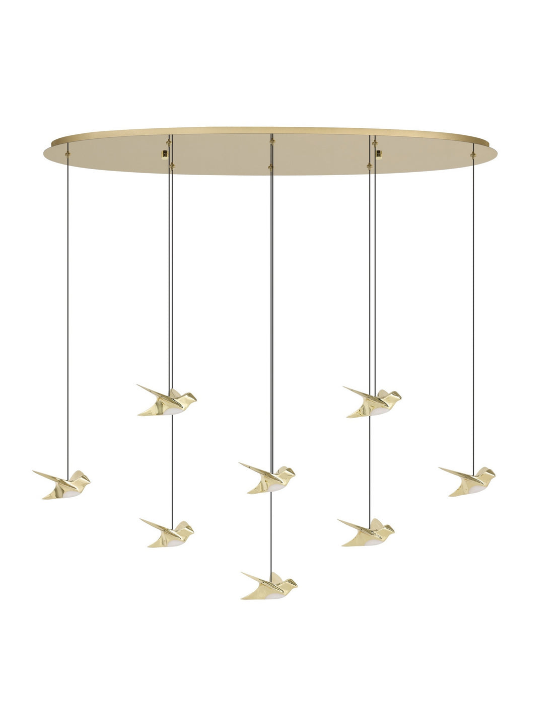 Suspension DEL | Paratebueno 2