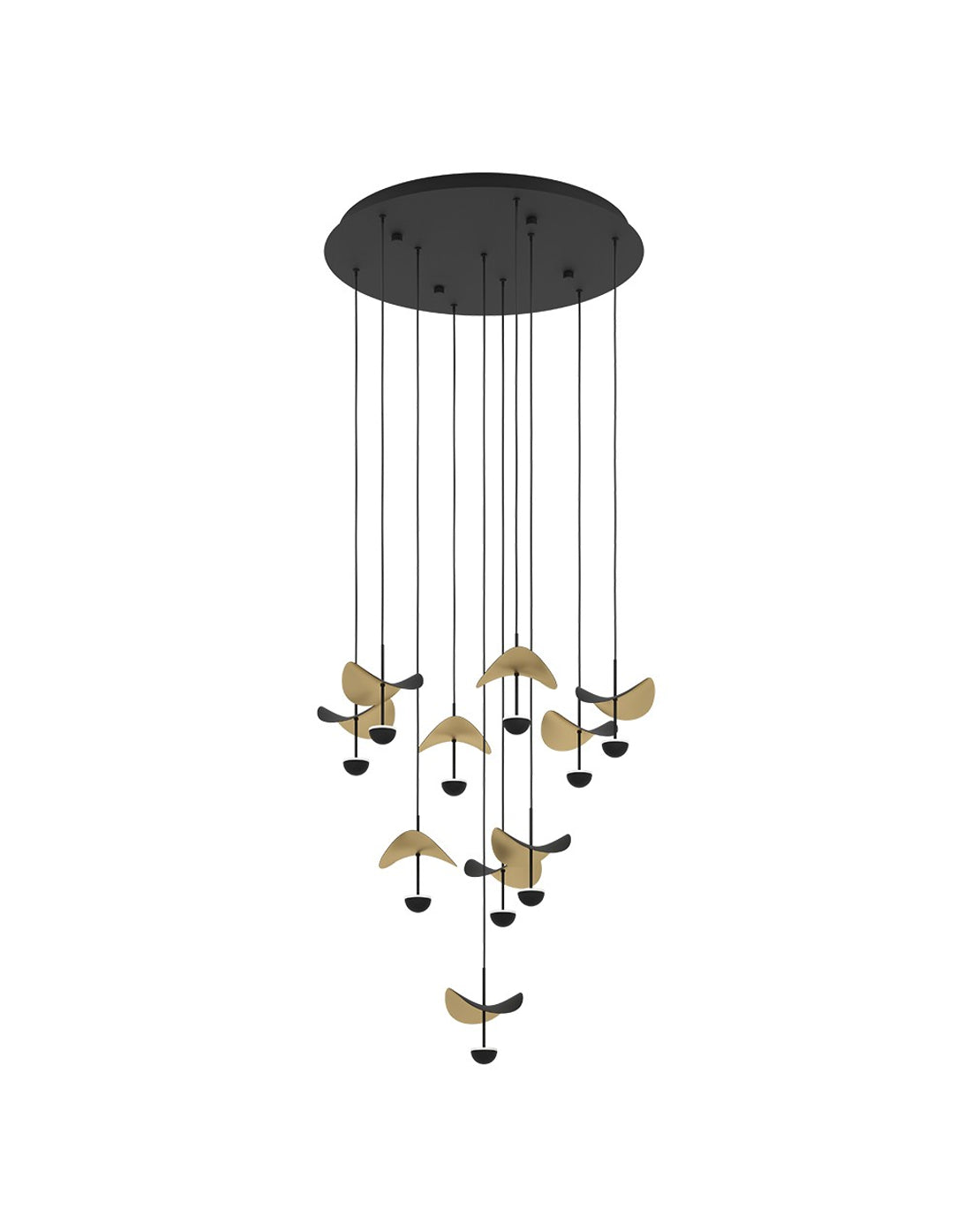 Suspension DEL | Dracera