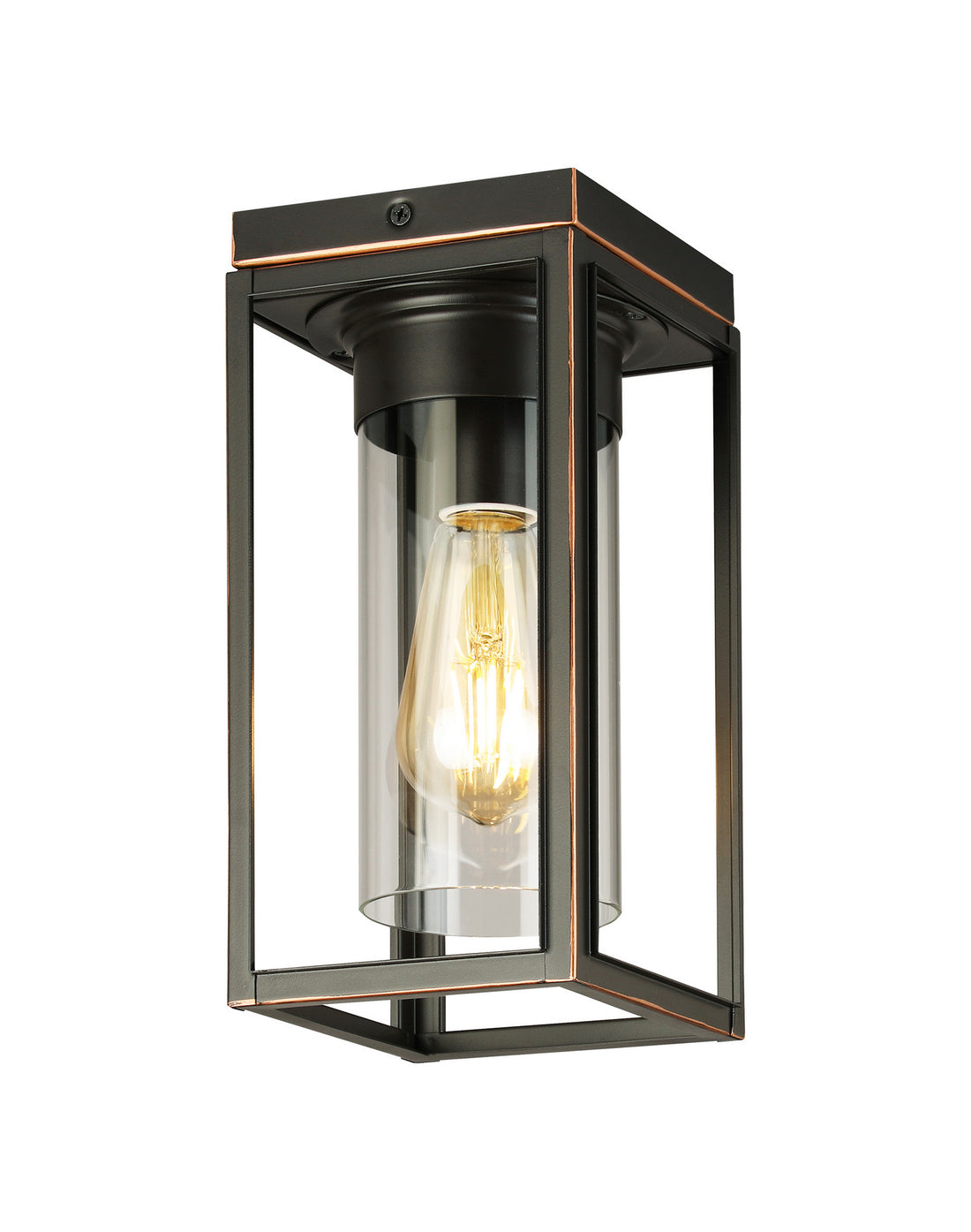 Plafonnier extérieur 1 lumière | Walker Hill
