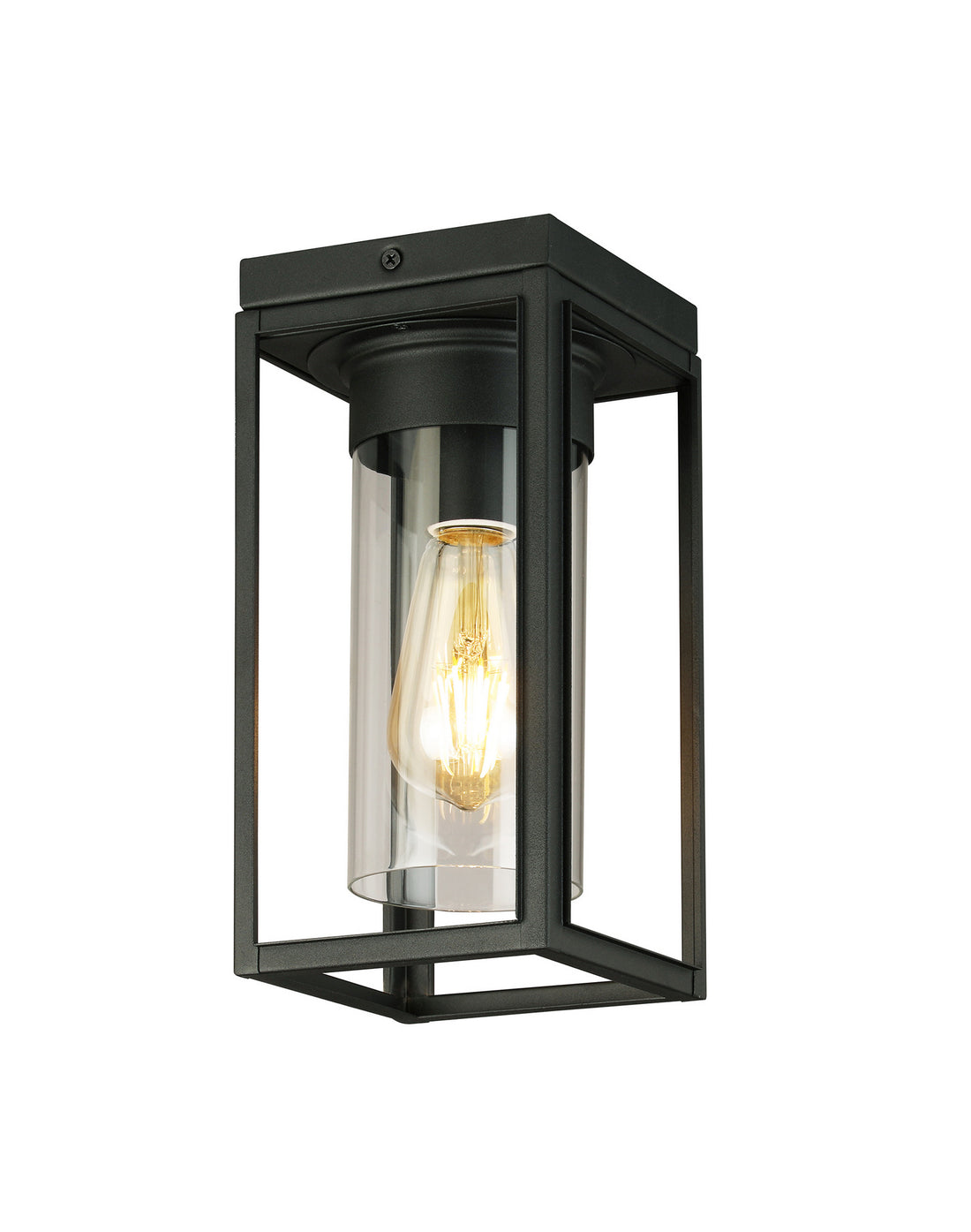 Outdoor Ceiling Mount 1 lumière | Walker Hill
