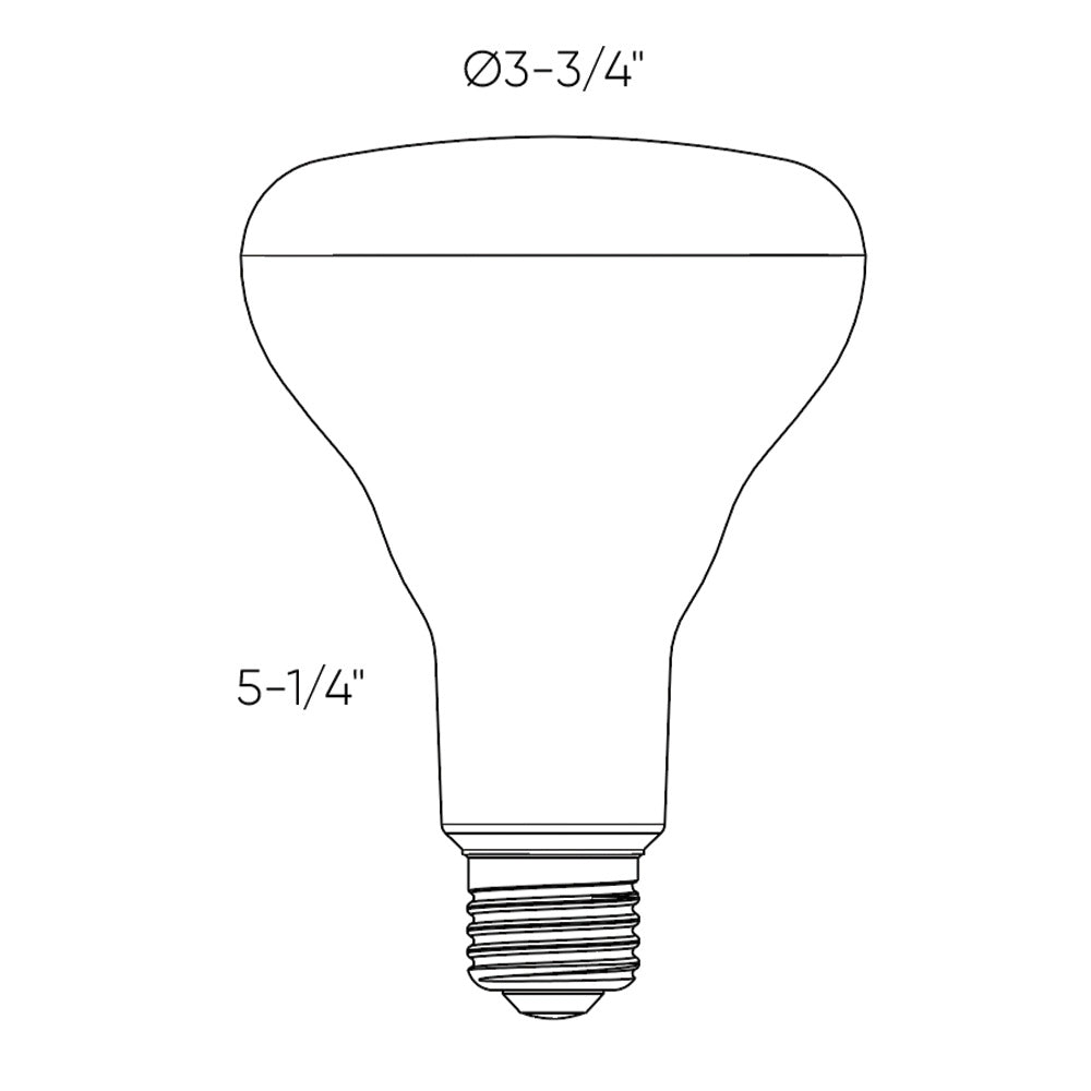 Bulb DEL | BR30 Pro