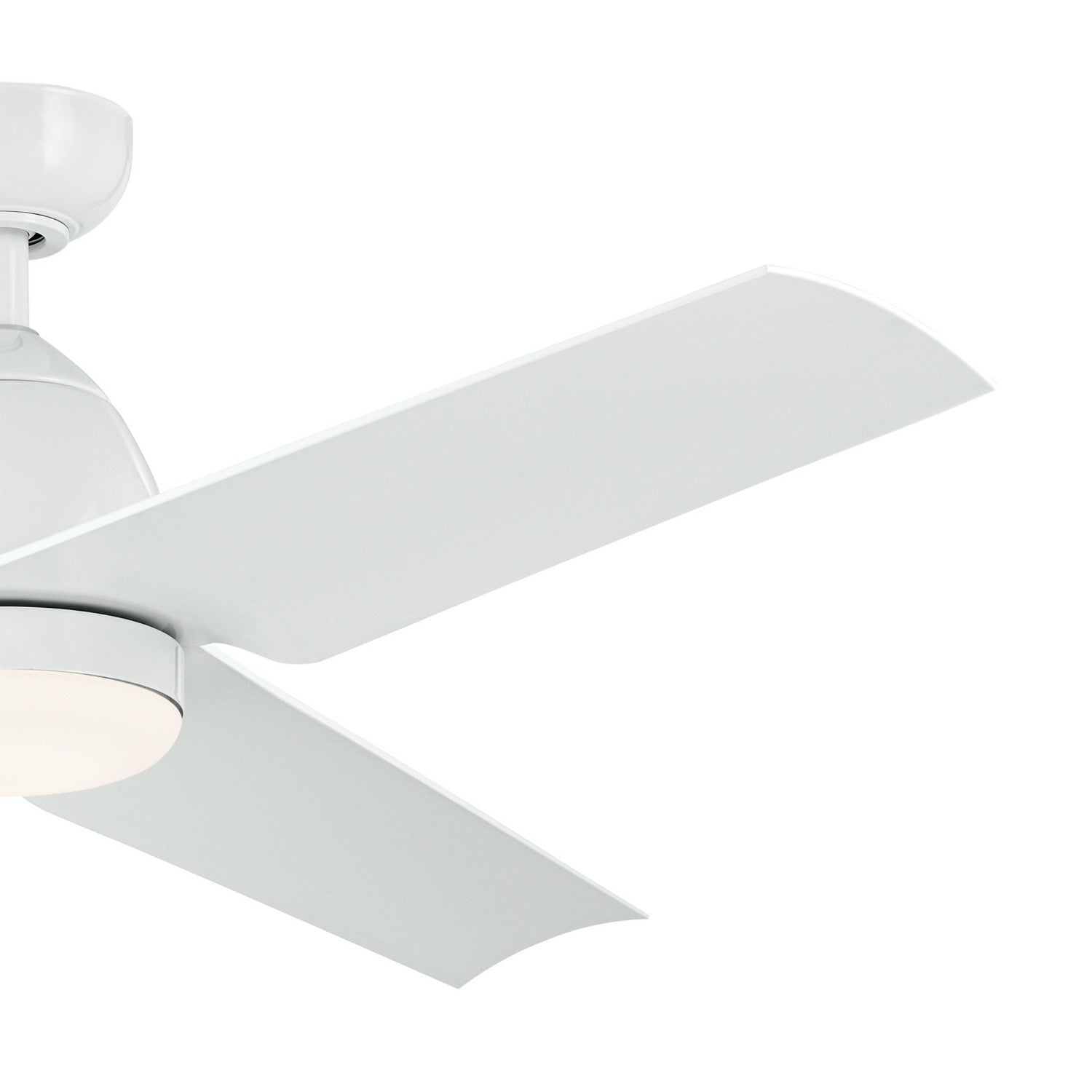 Ventilateur de plafond 54 po | Fit