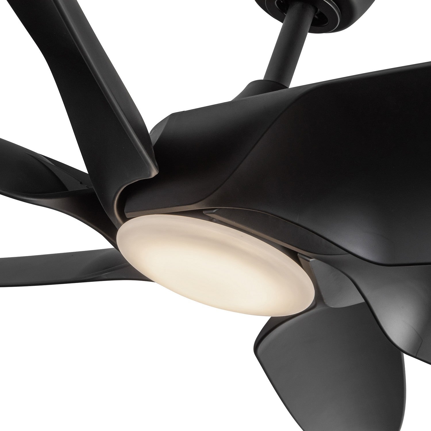 Ventilateur de plafond 60 po | Coronado