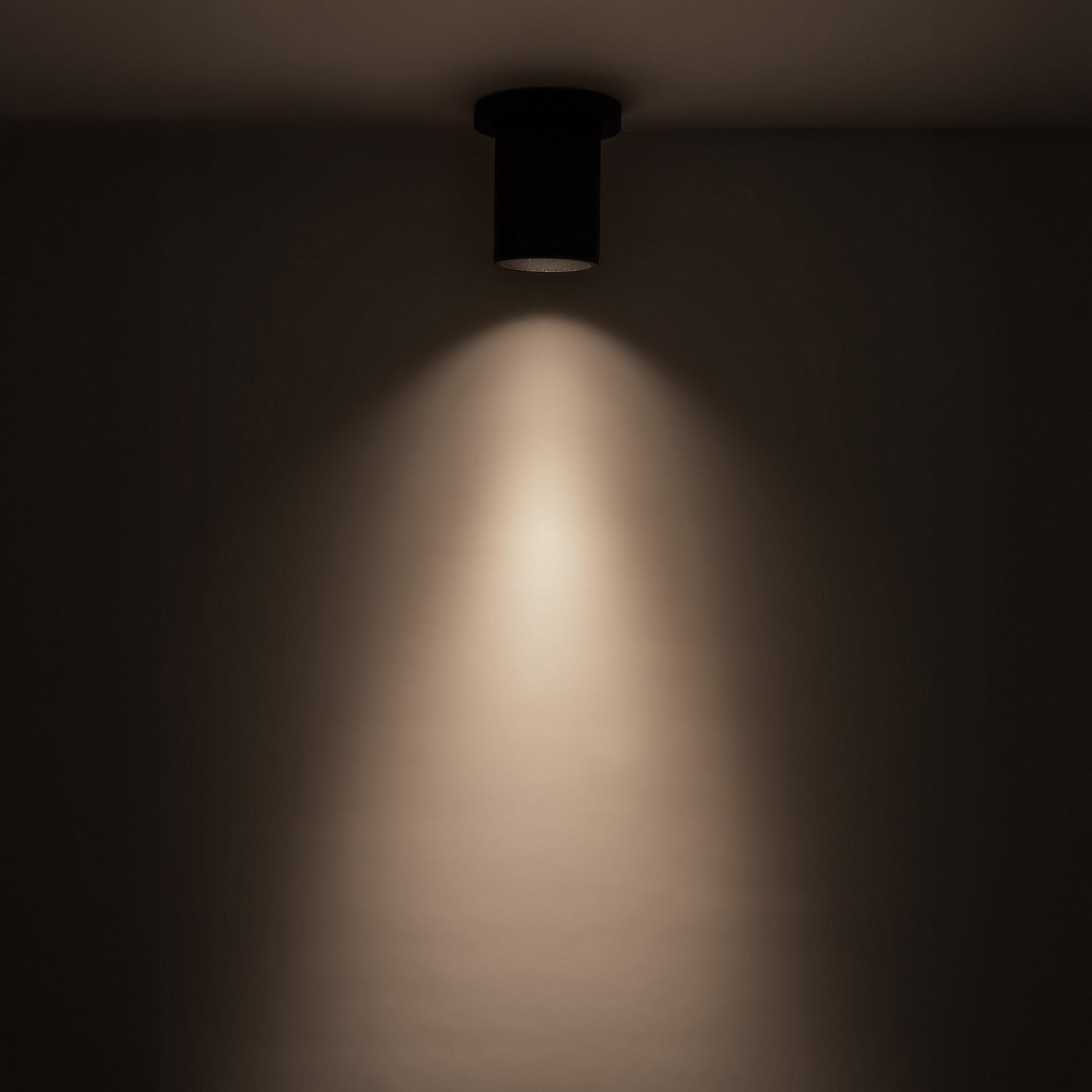 Plafonnier DEL | Lorna