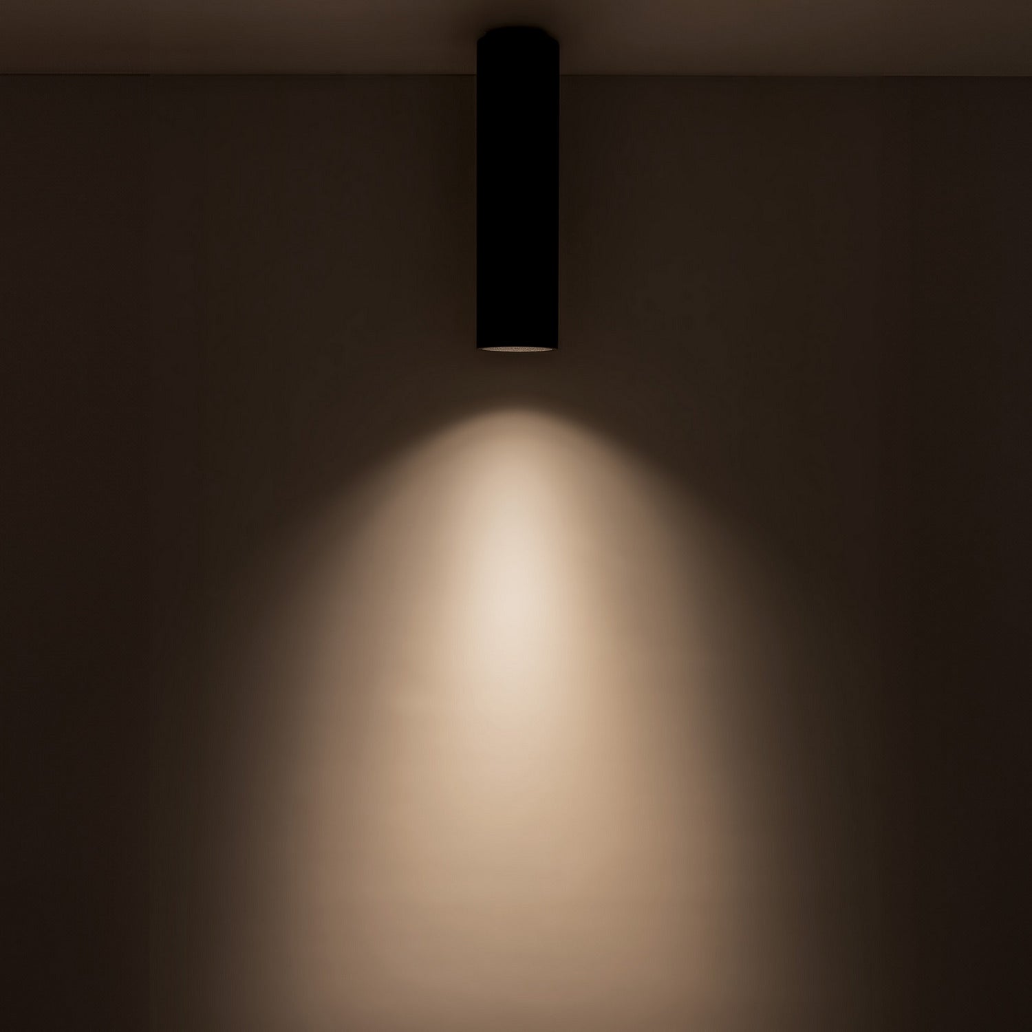 Plafonnier DEL | Lorna