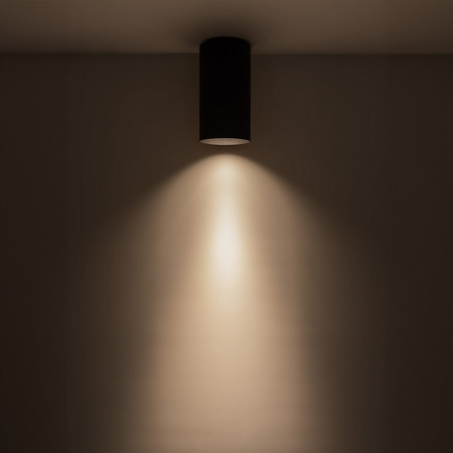 Plafonnier DEL | Lorna
