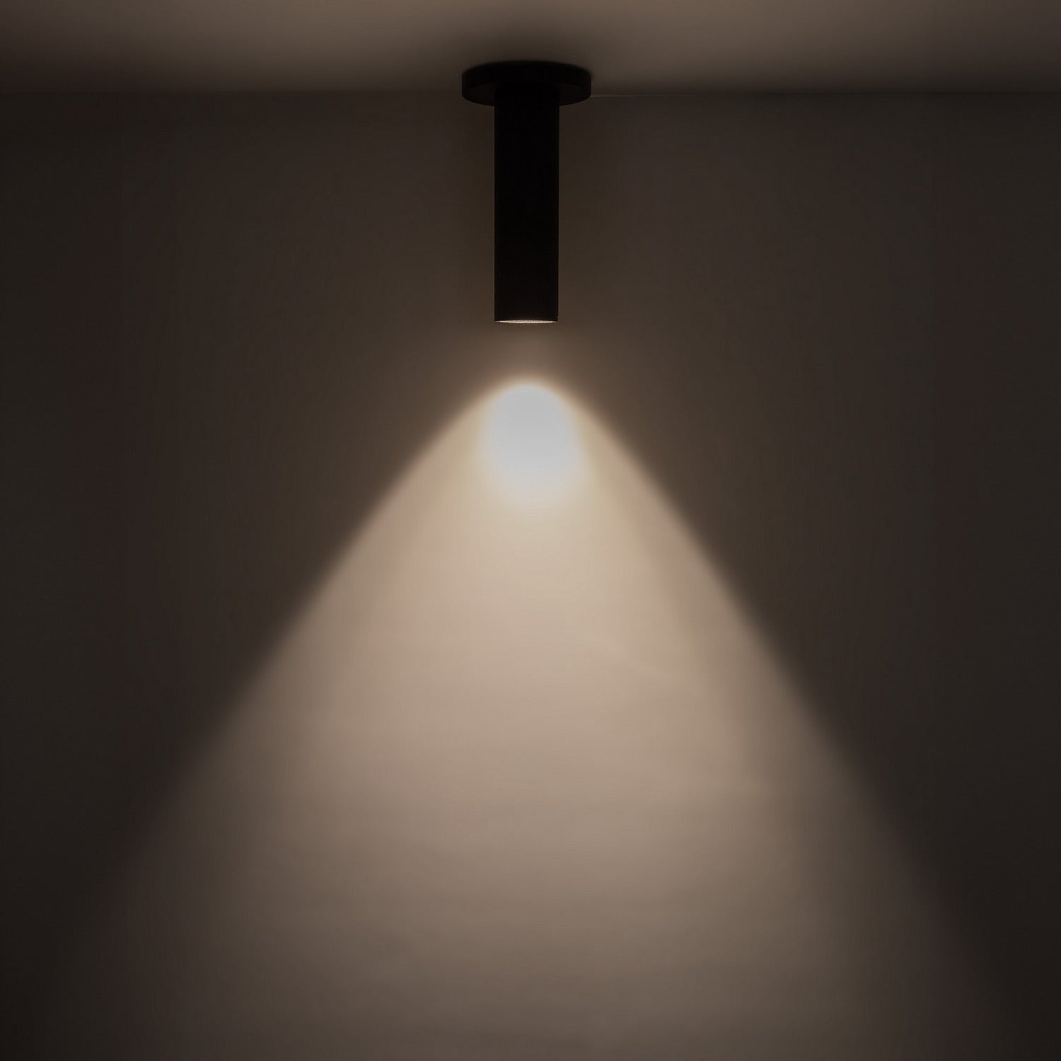 Plafonnier DEL | Lorna