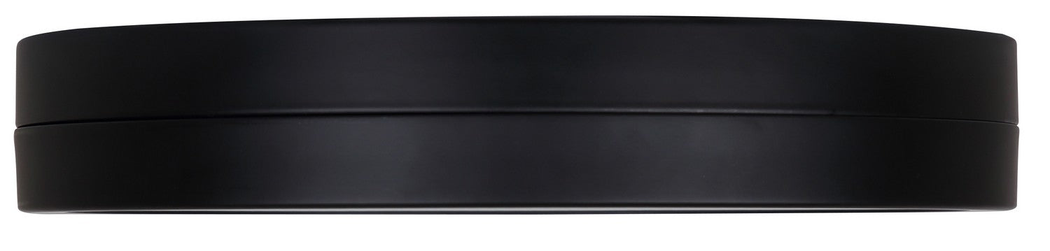 Plafonnier DEL | Briar