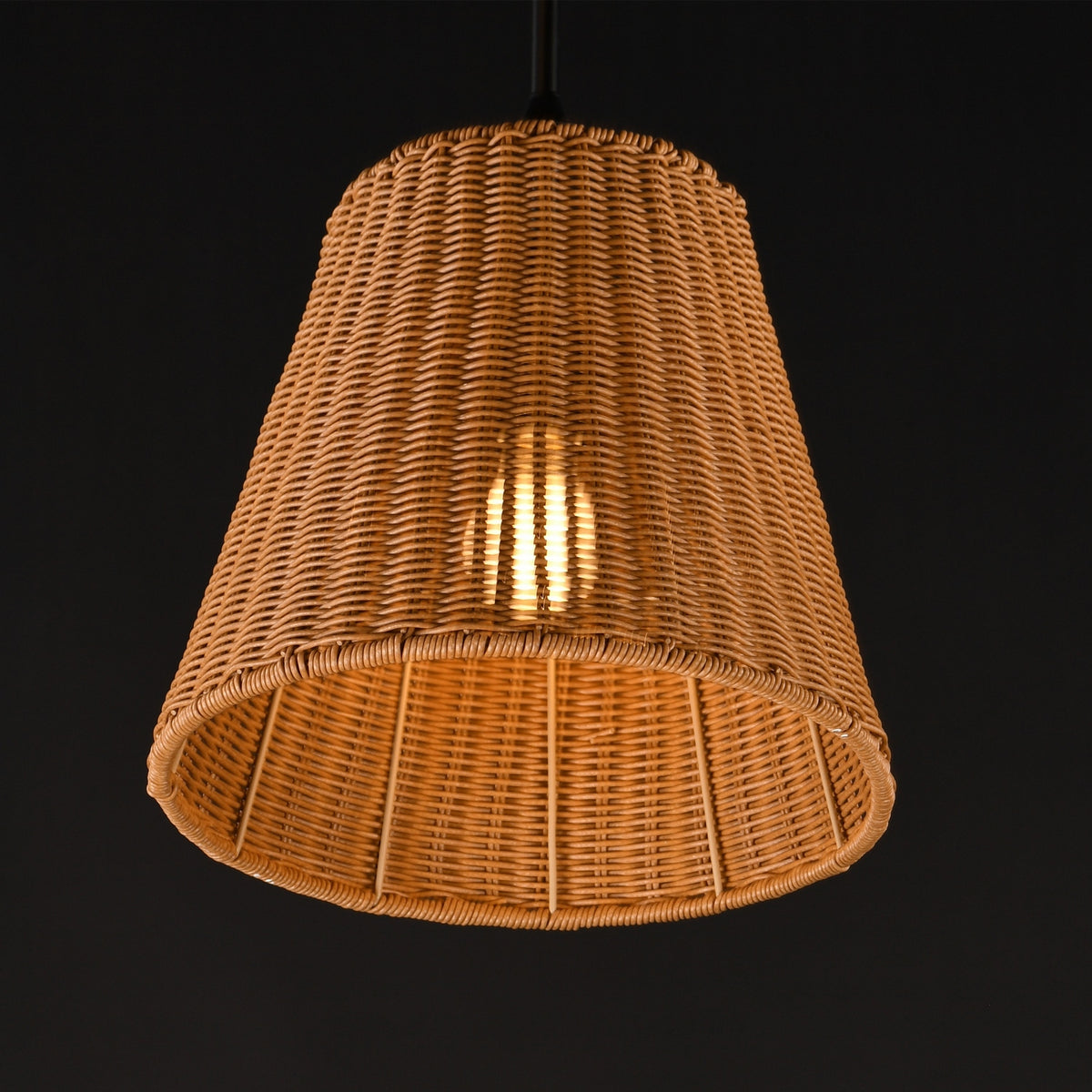 Suspension 1 lumière | Baja