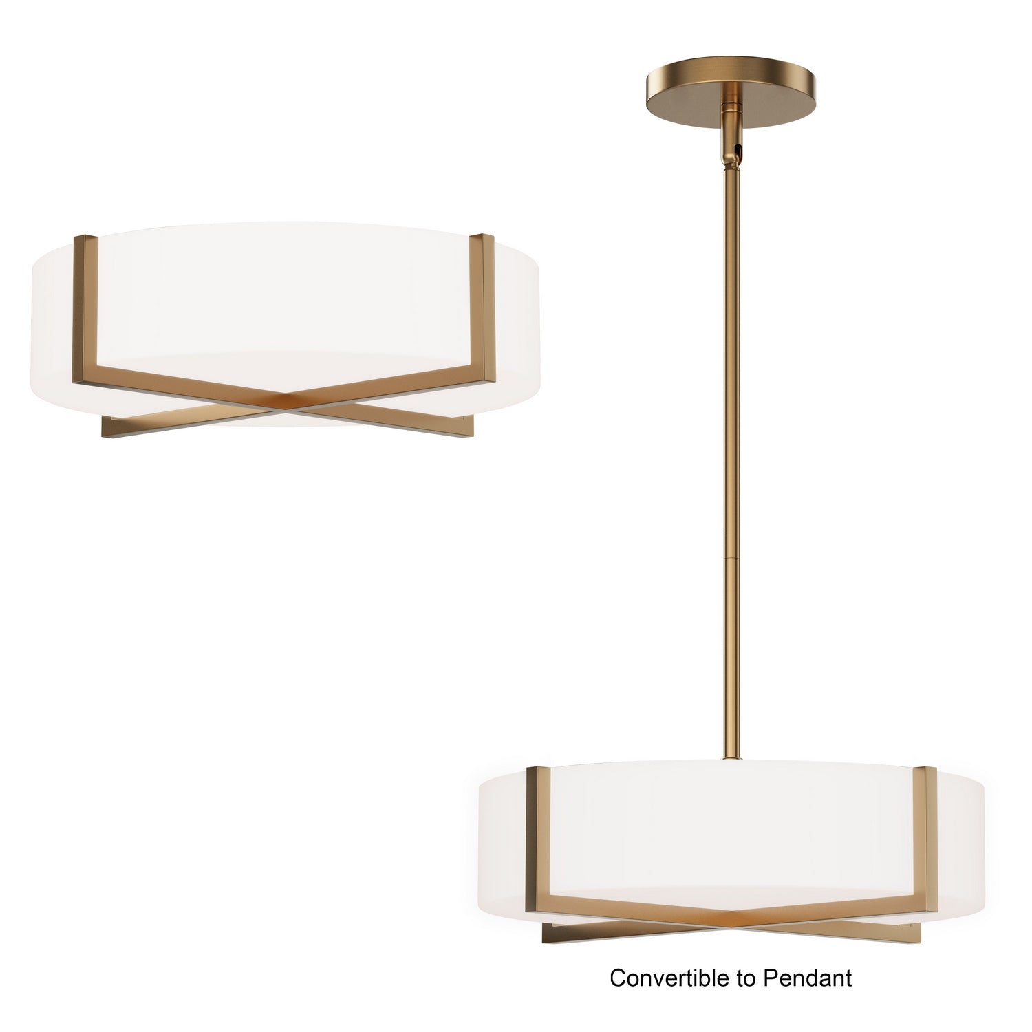 Plafonnier ou suspension convertible DEL | Dexter