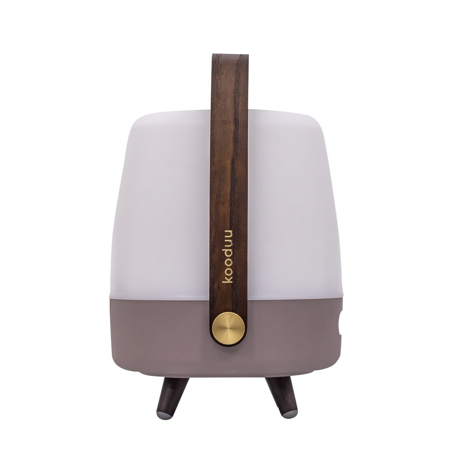 Lampe avec haut-parleur DEL | Lite Up Play Mini