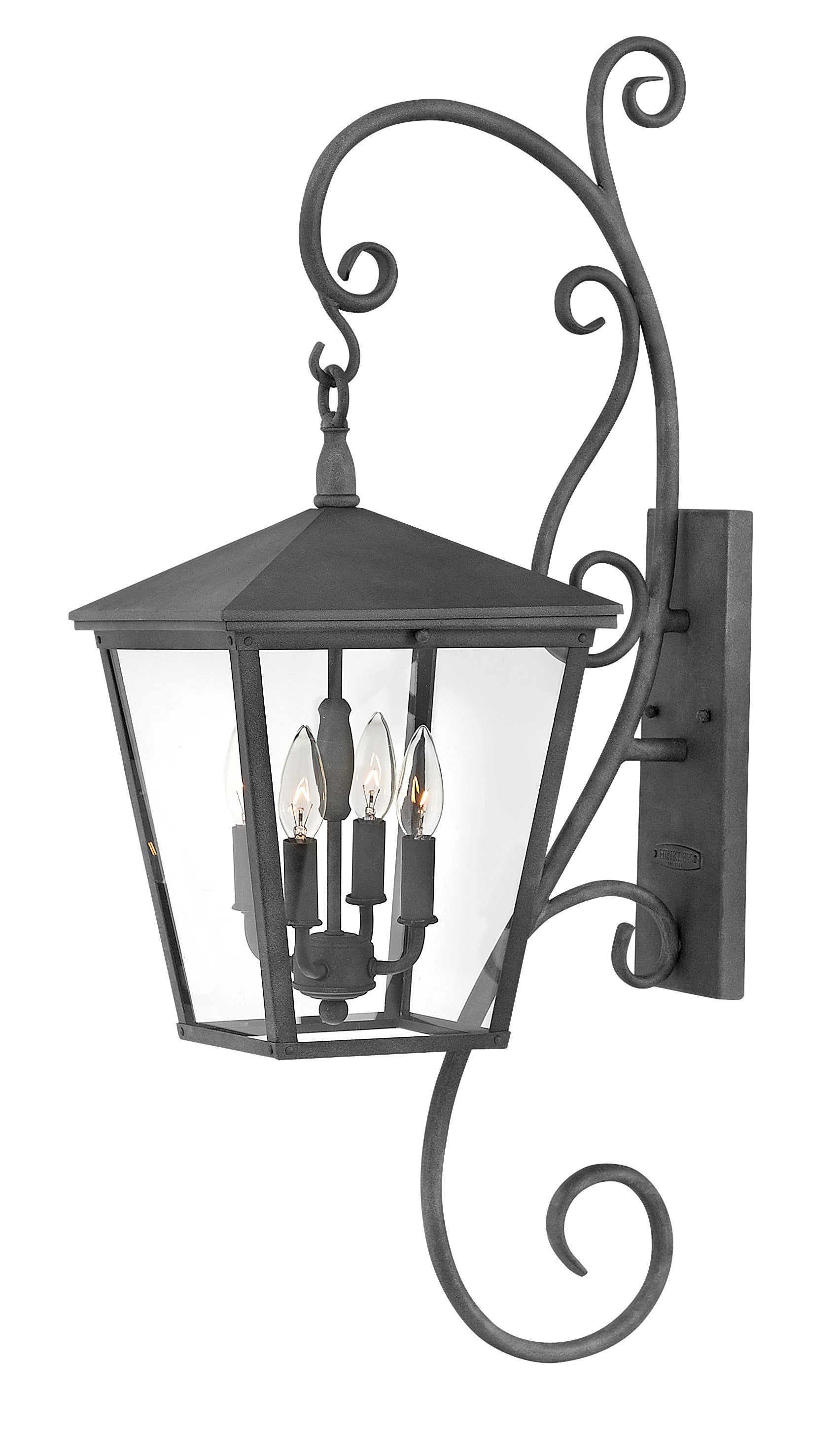 TRELLIS Outdoor sconce Black - 1436DZ | HINKLEY