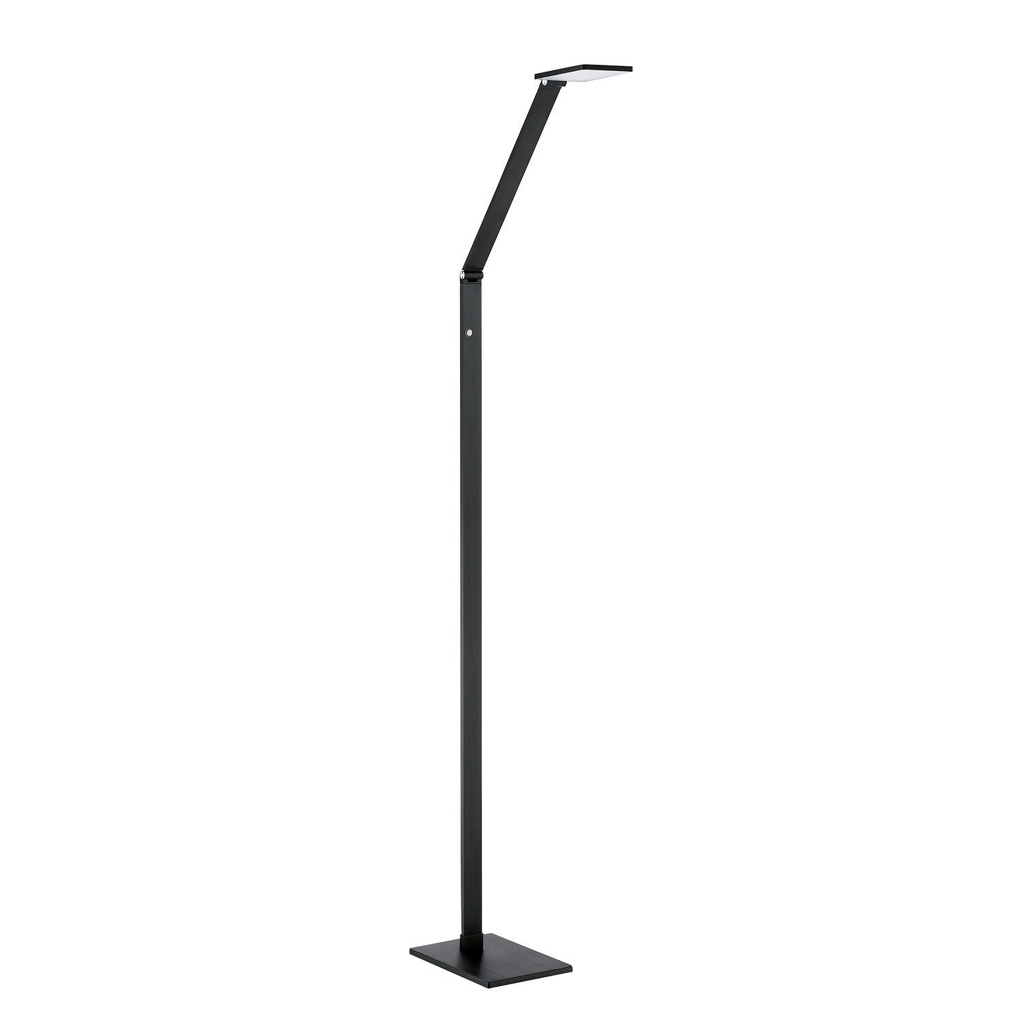RECO Floor lamp Black INTEGRATED LED - FL8449-BLK | KENDAL