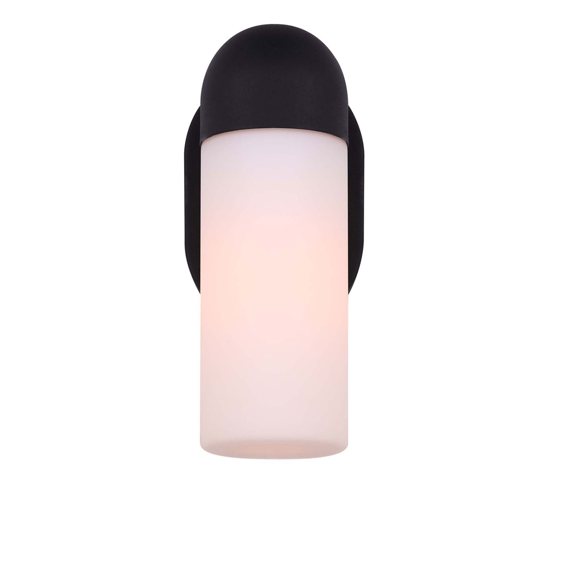 CALLEN Outdoor wall sconce Black - IOL581BK | CANARM